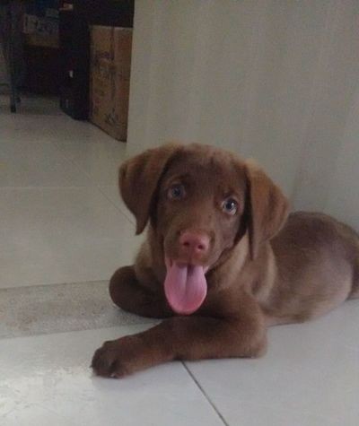 Cansado de tanto jugar :D 